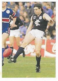 1991 Select AFL Stickers #58 David Kernahan Front